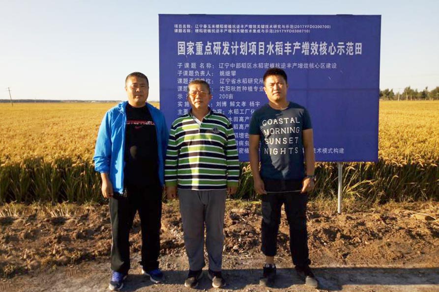 建筑装饰塑料制品的主要品种有哪些?它们各自有什么特性?:hth官网入口(图1) 华体会体育hth官方网站