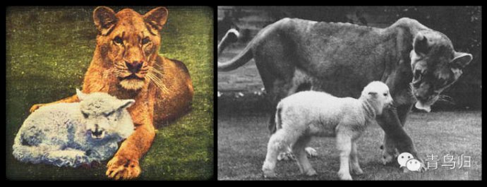 头次见这样装沐浴房的,太有特色了,不仅防滑排水还超快:hth官网入口(图4) 华体会体育hth官方网站