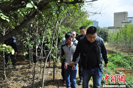 华体会体育hth官方网站