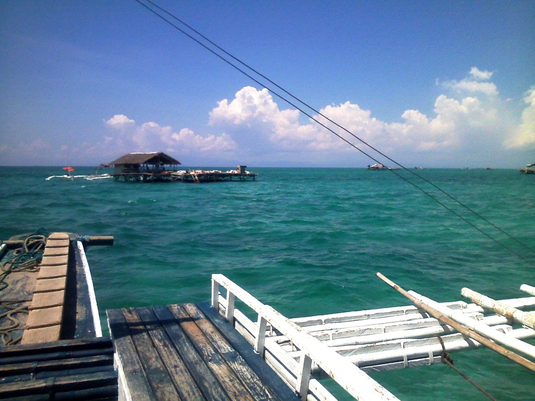 华体会体育hth官方网站