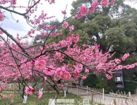 华体会体育hth官方网站