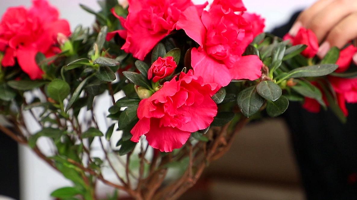 华体会体育hth官方网站