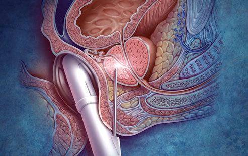 华体会体育hth官方网站