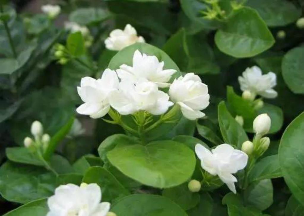 这些背景墙,让家更好看|华体会体育hth官方网站(图1) hth官网入口