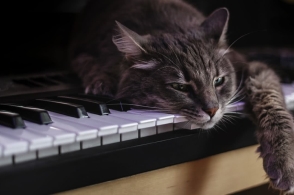 华体会体育hth官方网站