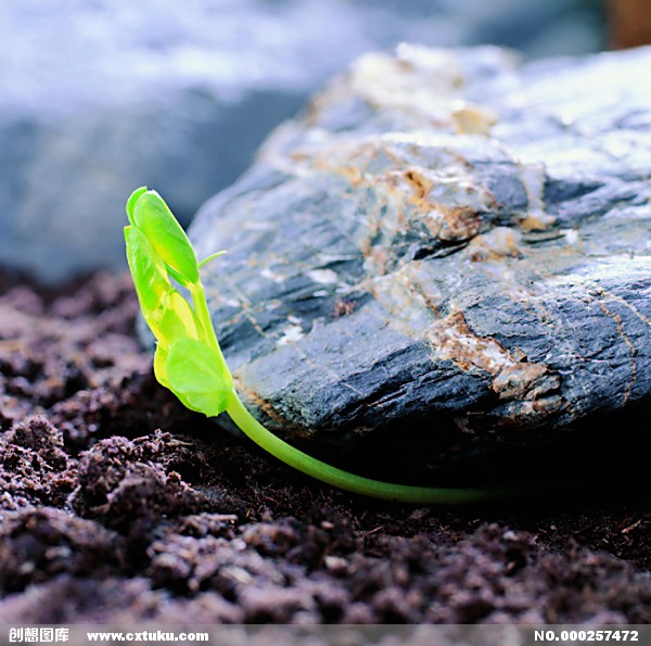 华体会体育hth官方网站