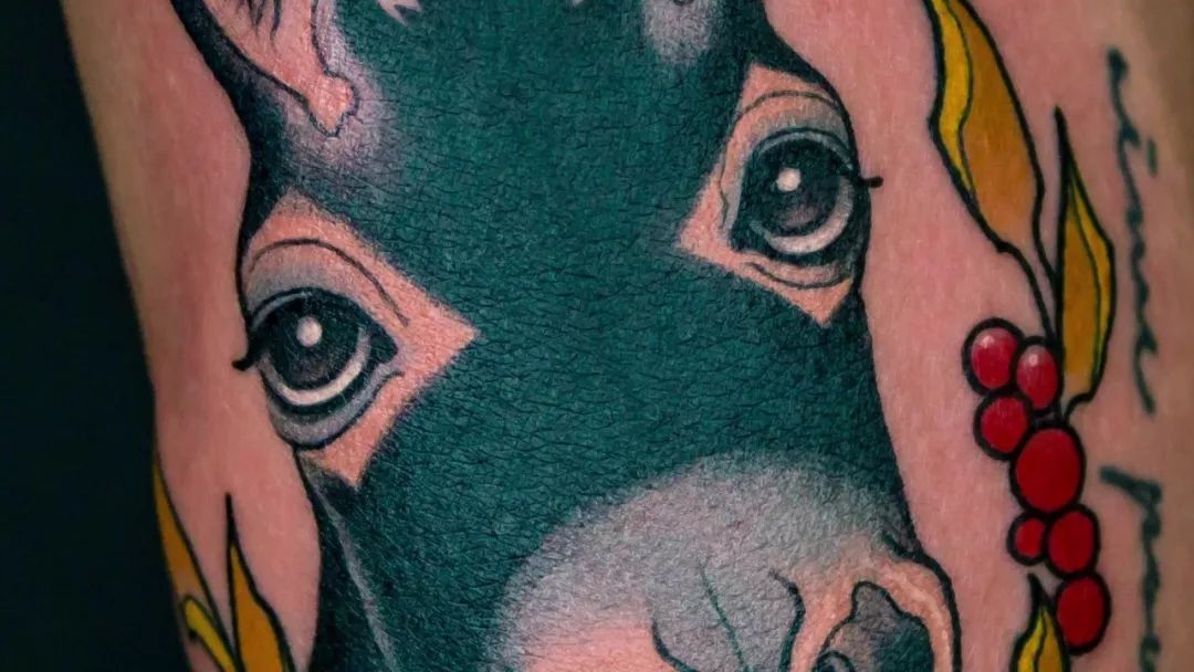 华体会体育hth官方网站