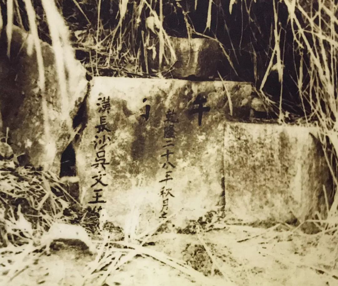 华体会体育hth官方网站