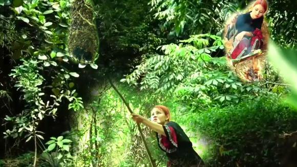 华体会体育hth官方网站