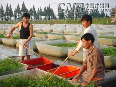 华体会体育hth官方网站_欧预赛-拜仁大将单刀铁卫世界波 德国2-0暂回榜首(图1) hth官网入口