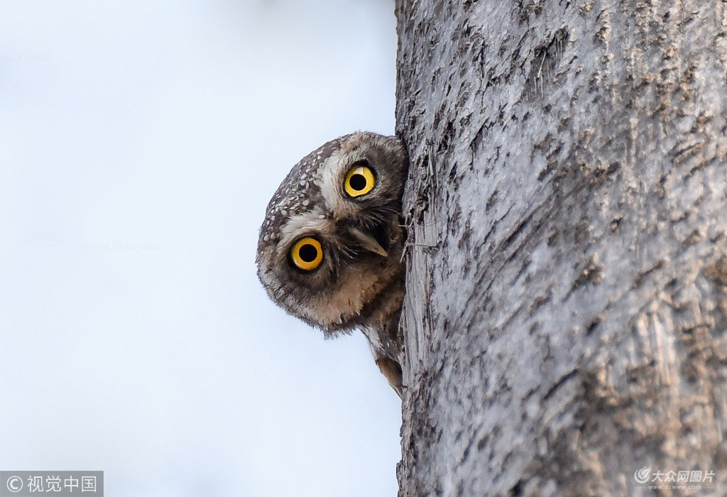 华体会体育hth官方网站