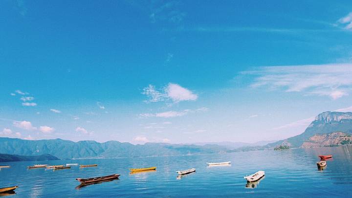 华体会体育hth官方网站