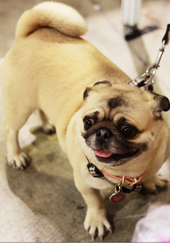 华体会体育hth官方网站