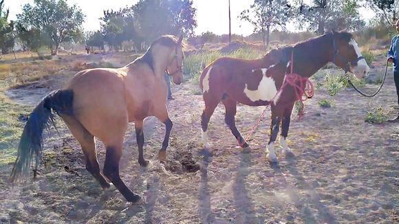 乳胶漆可以直接刷墙吗?刷乳胶漆的正确步骤是什么样的呢?“华体会体育hth官方网站”(图1) 华体会体育hth官方网站